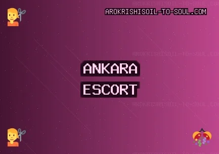 Ankara Escort: Elmadağ Escort, Sincan Escort, Çankaya Escort